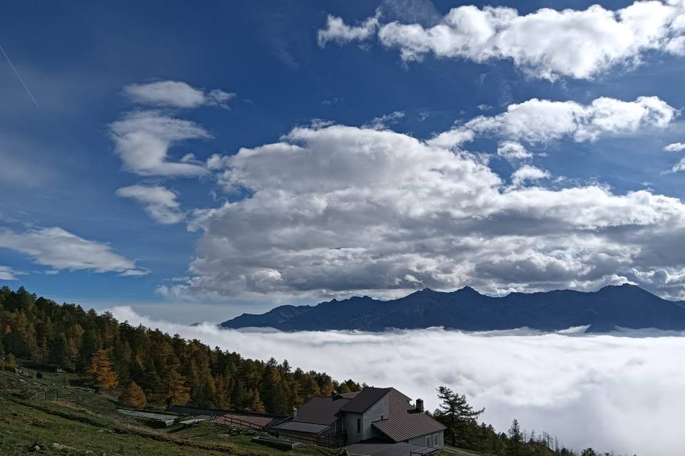 Agriturismo La Darbunera
