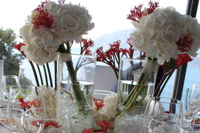 Laurea sul mare