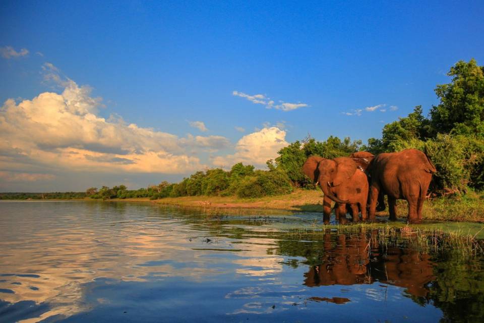 Sudafrica Viaggio di Nozze