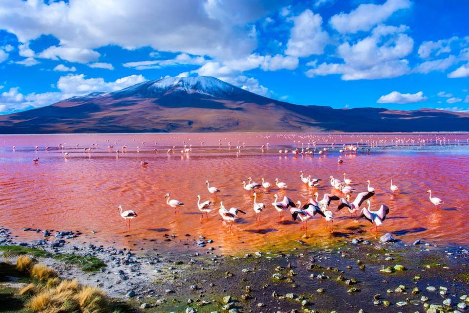 Bolivia Viaggio di Nozze