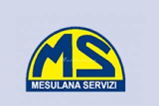 Mesulana Servizi logo