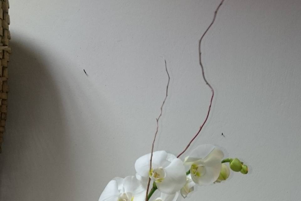 Centrotavola Ikebana