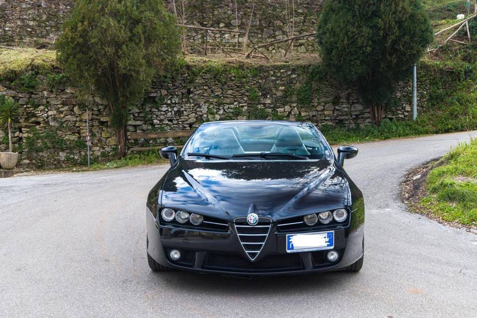 Alfa Spider