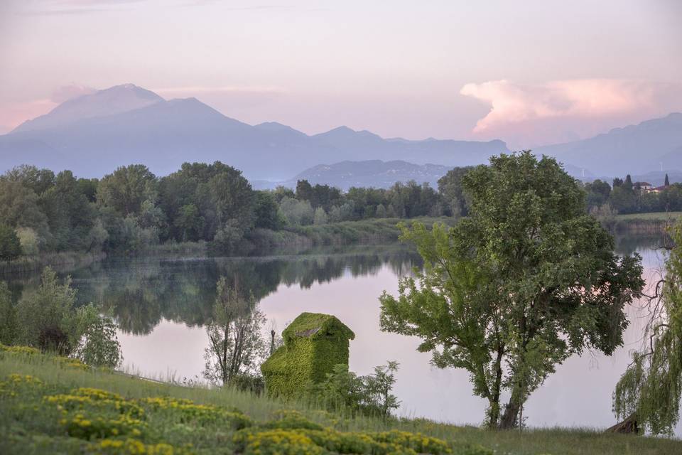 Le Ali del Frassino