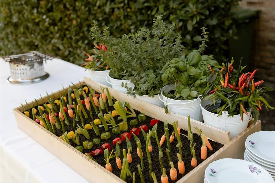 Il giardino commestibile