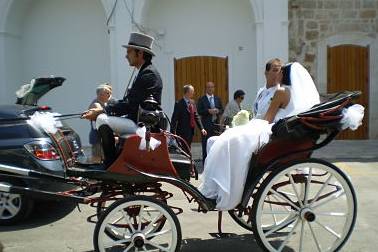 Puglia Antica Carrozze