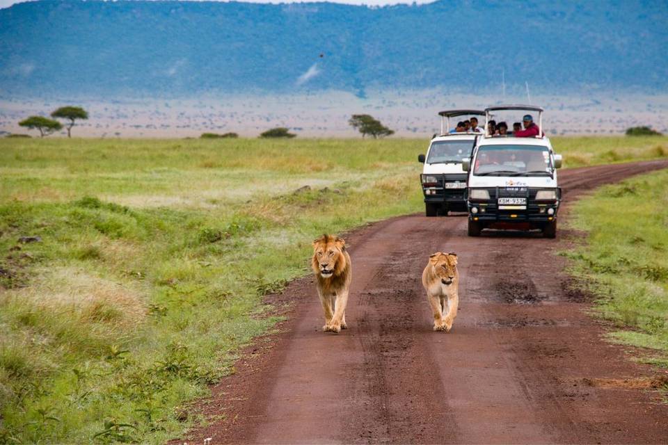 Viaggio nozze Kenya