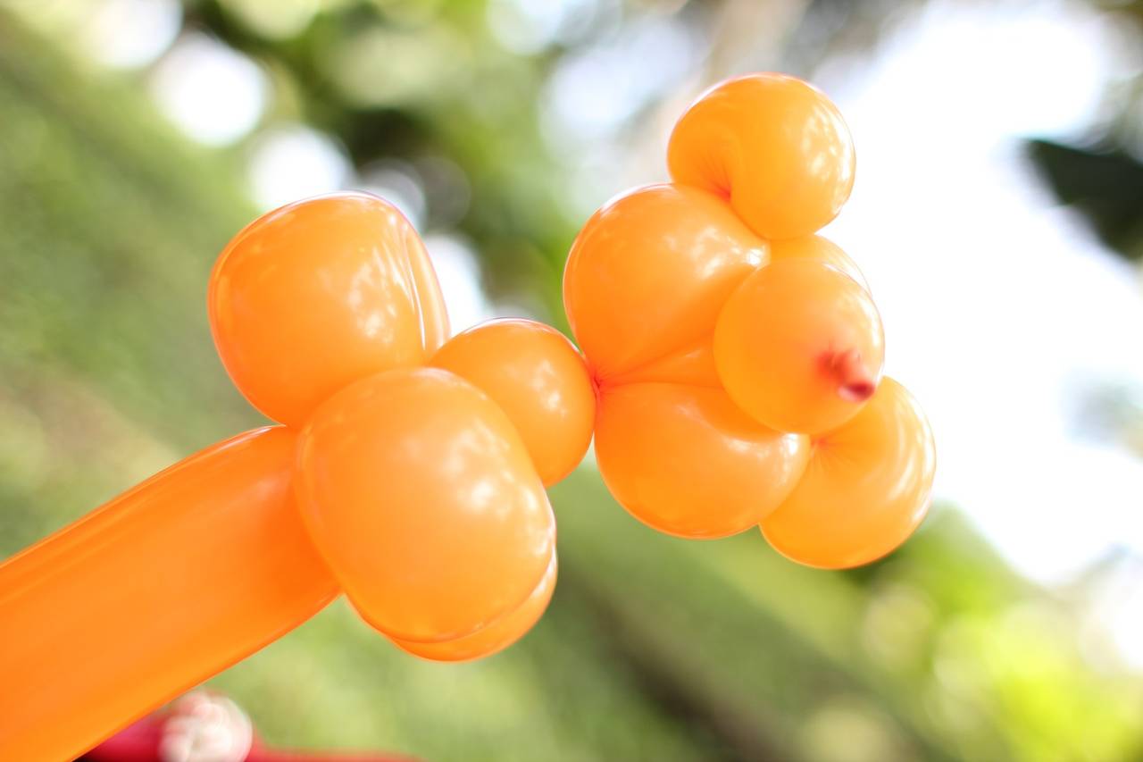 Sculture con Palloncini per Bambini a Vicenza, Treviso e Padova -  Animazione per bambini a Treviso, Padova e Vicenza, organizzazione feste  aziendali