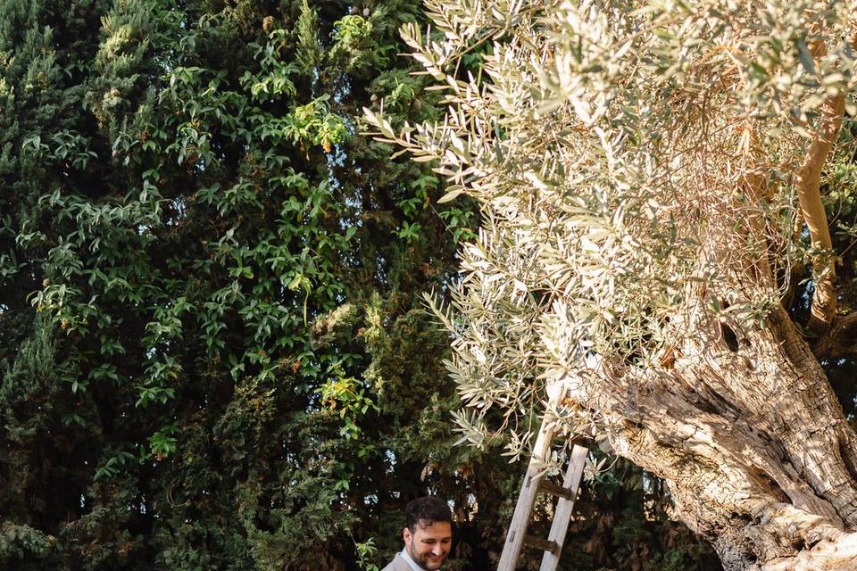 Matrimonio-Agrigento