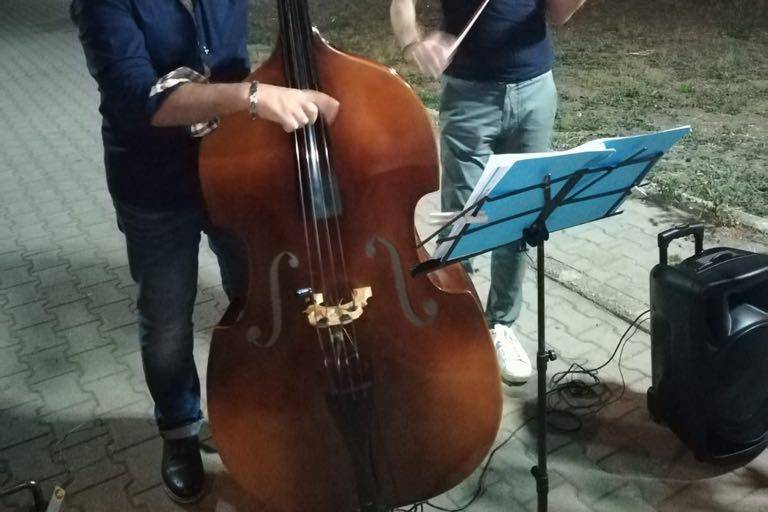 Serenata al chiaro di luna