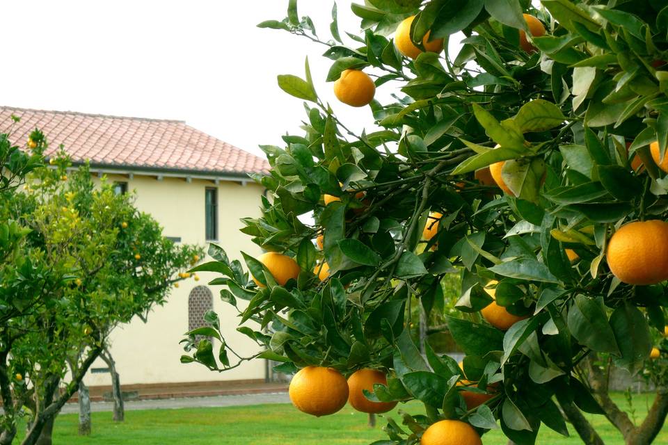 La Casella Masseria