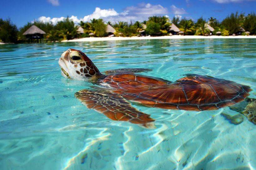 Le Meridien Bora Bora