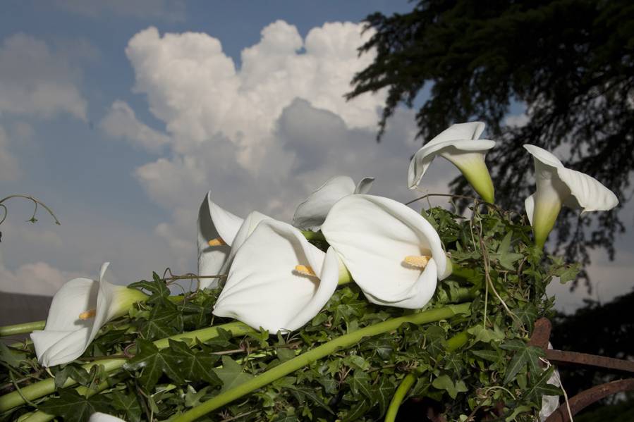 Bouquet e nuvole, bianche