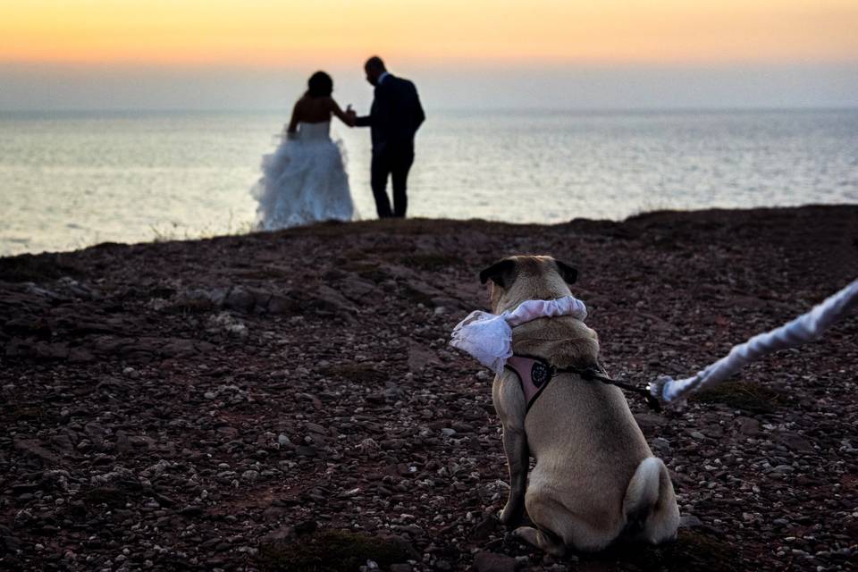 Wedding in Palermo