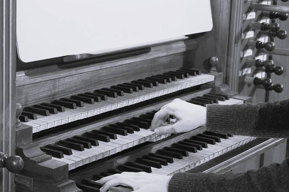 Lorenzo Bosi Organo & Piano