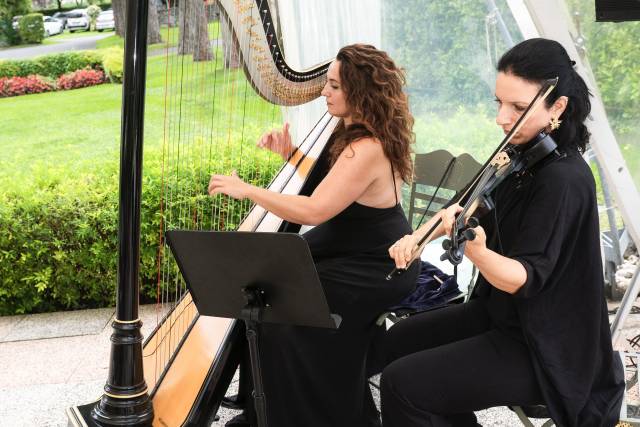 ARPA E VIOLINO