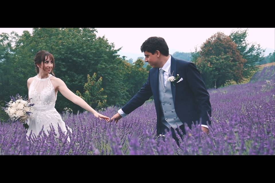 Sposi in un campo di lavanda