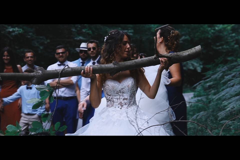 Sposa con ramo d'albero