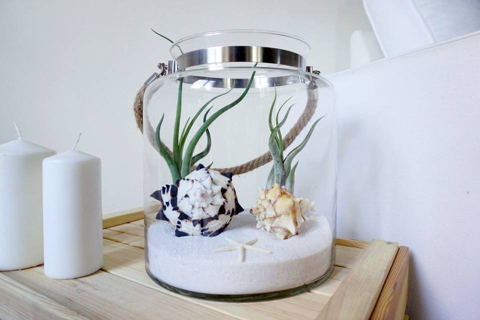 Terrarium Centrotavolo