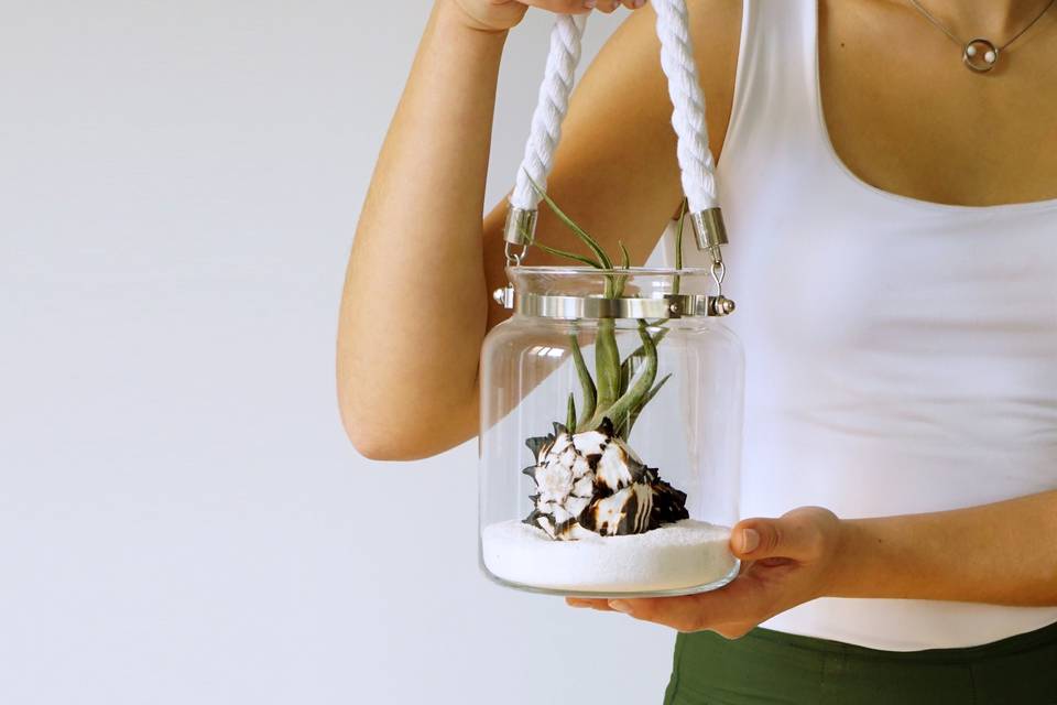 Terrarium