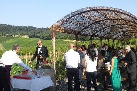 Benvenuto nell orto