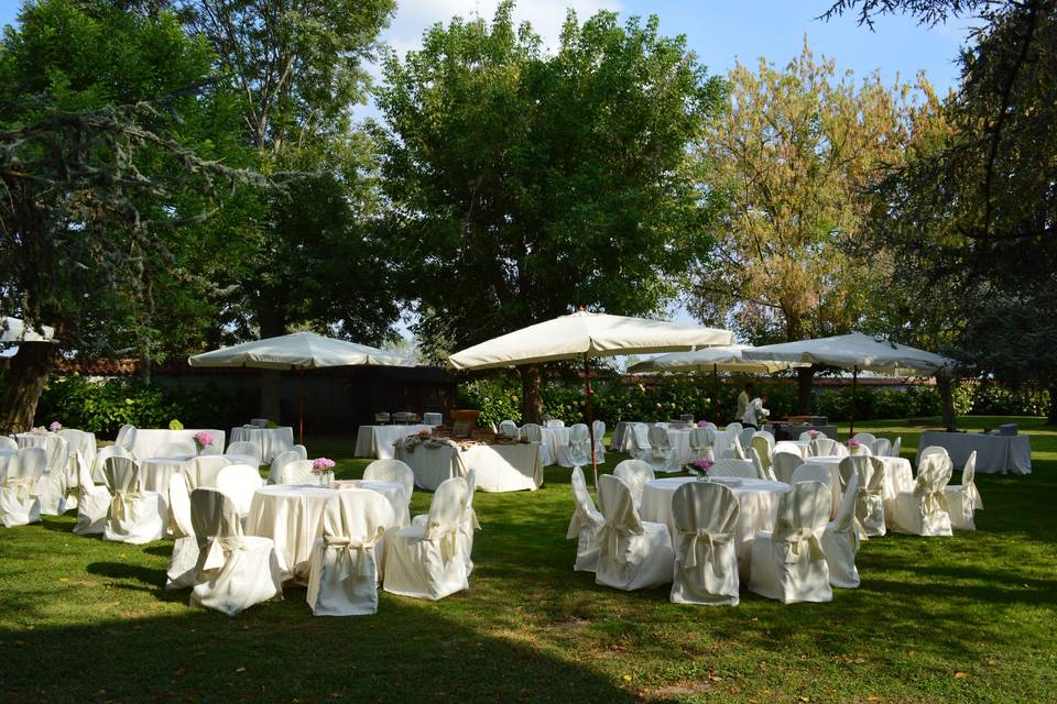 Allestimento con ortensie