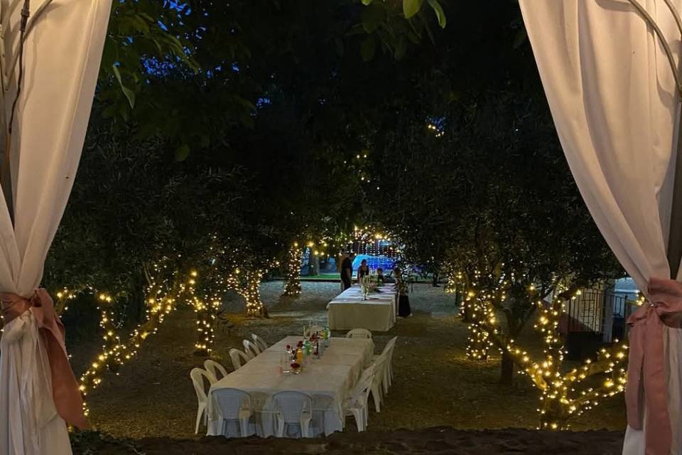Allestimento tavoli