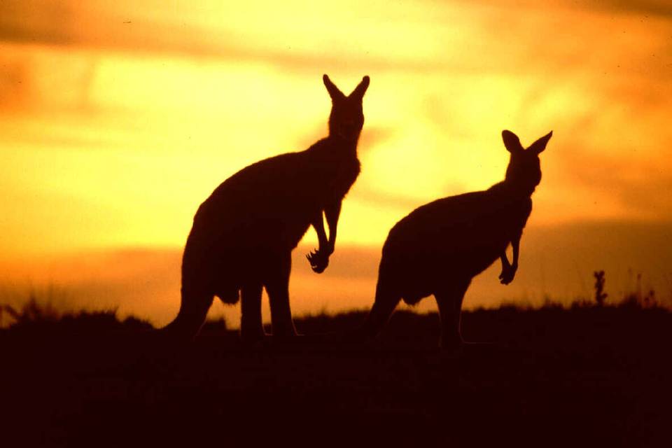 Tramonti australiani