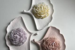 Jemma Studio