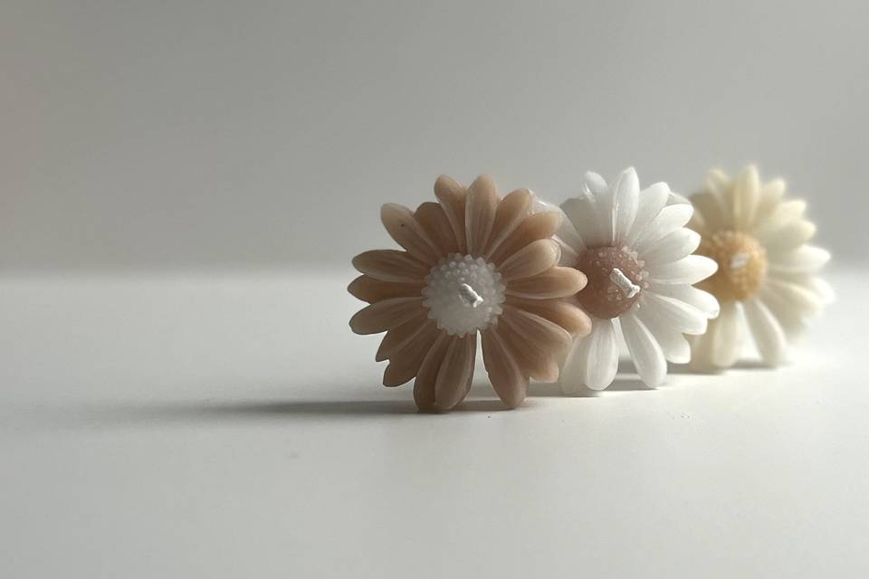 Daisy