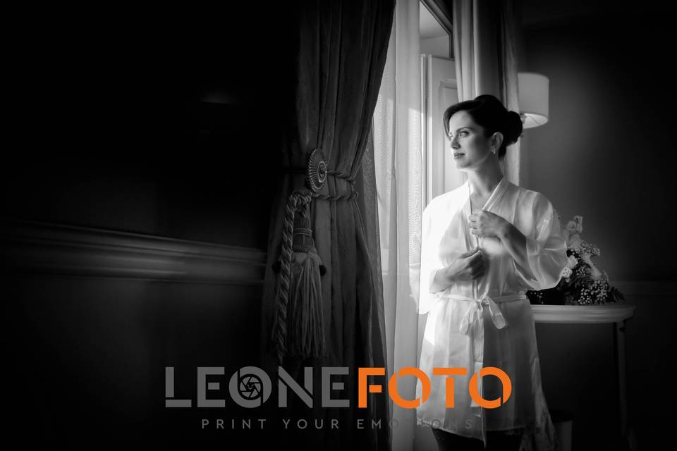 Leone Foto