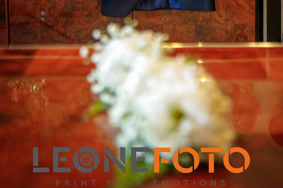 Leone Foto