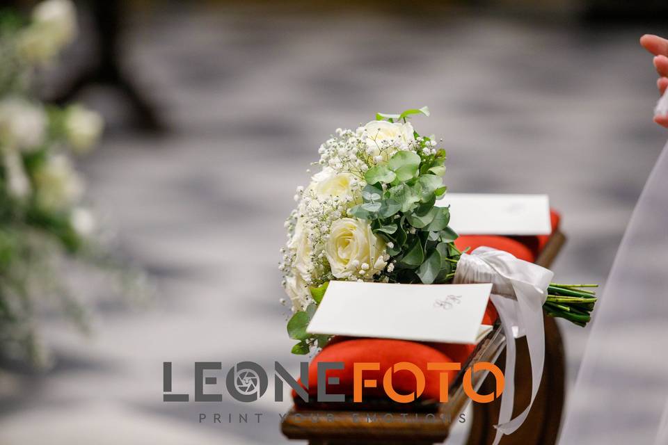 Leone Foto