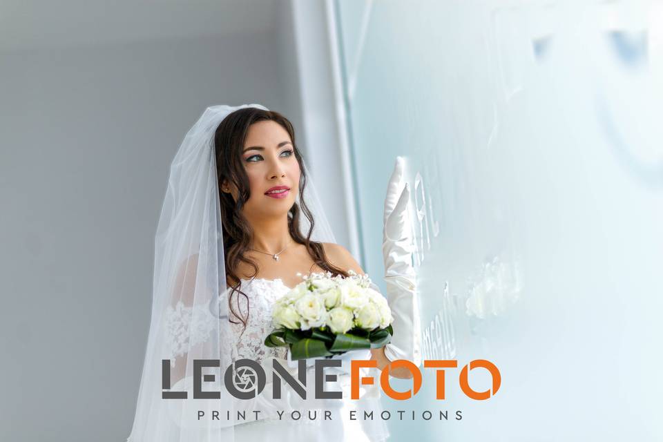 Leone Foto