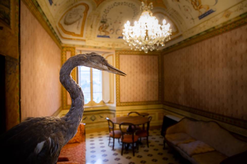 Palazzo