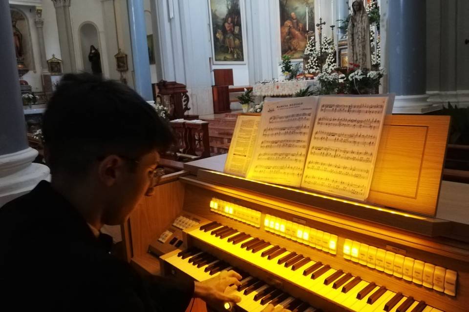 Organista