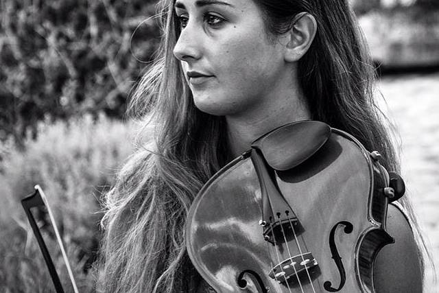 Viola