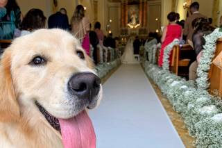 Maria Dog & Love Sitter