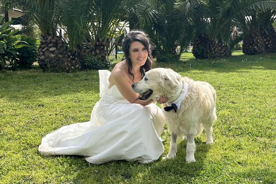 Dog Sitter Matrimonio Napoli