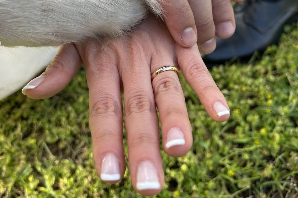 Dog Sitter Matrimonio Napoli