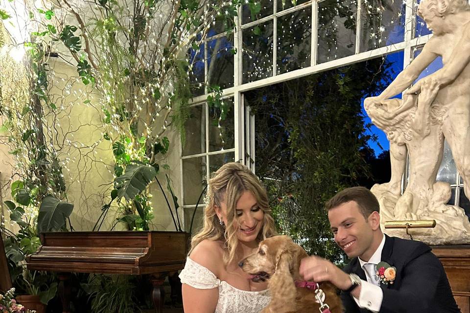 Dog Sitter Matrimonio Napoli