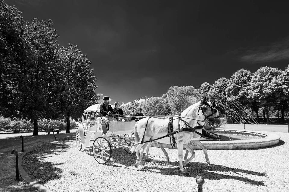 Carrozza dei cavalli