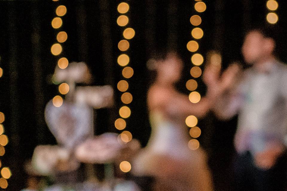 Wedding-photographer-Venice