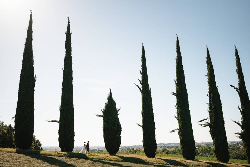 Cipressi e sposi
