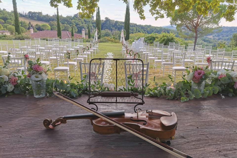 Violino