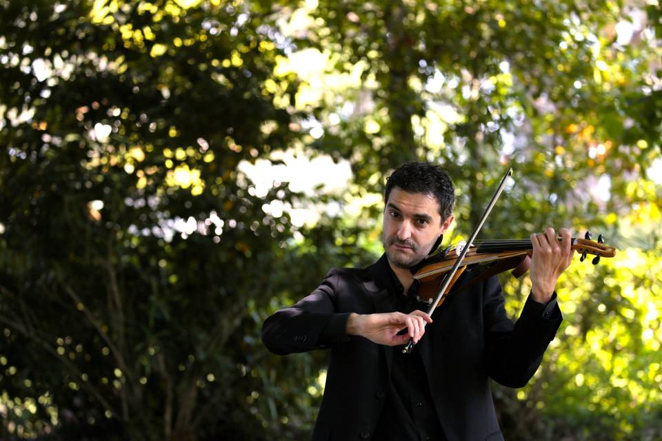 Rito Matrimoniale in Foresta