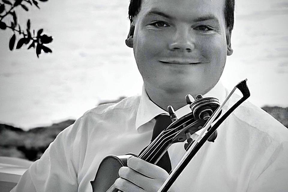 Violin