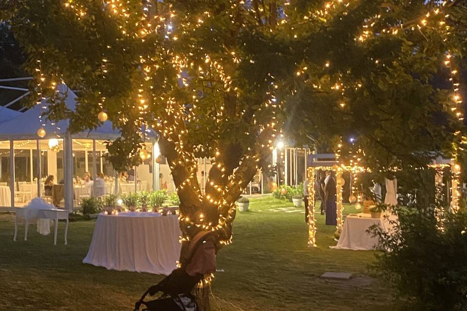 Albero illuminato