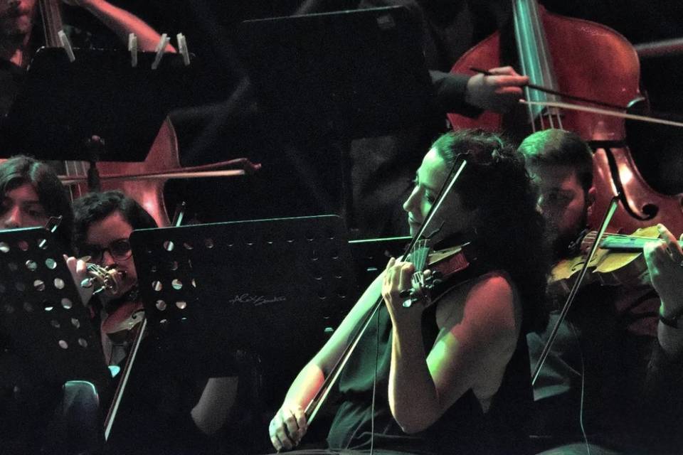 Animazione musicale