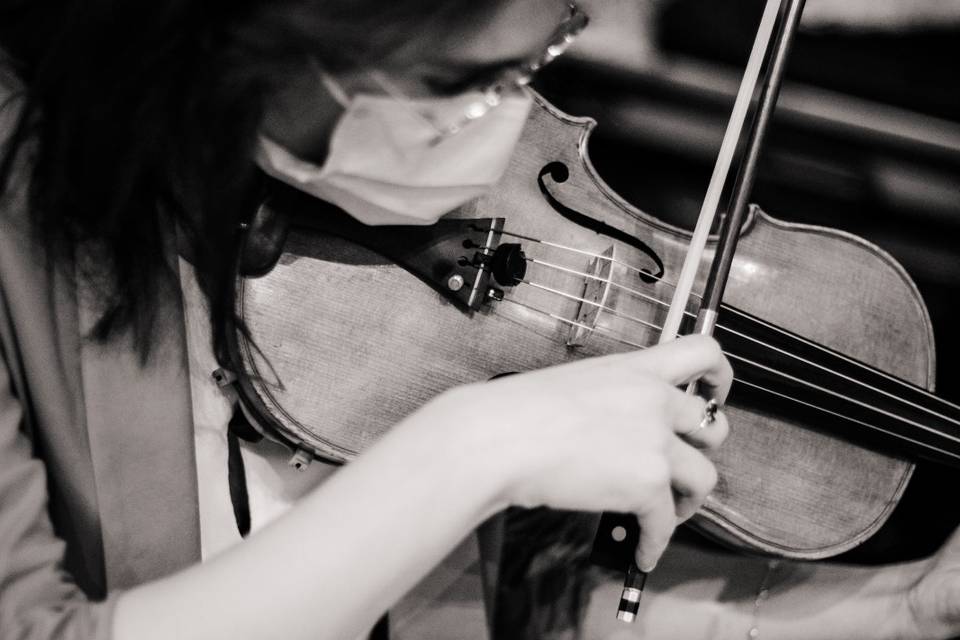 Paola, violino